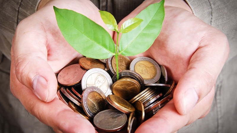 Portada de: 7 consejos prácticos para gestionar tu flujo de caja